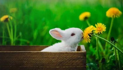 九游正版官网-德甲多支劲旅补强中场，争夺冠军最后冲刺，德甲多支劲旅补强中场,争夺冠军最后冲刺了吗