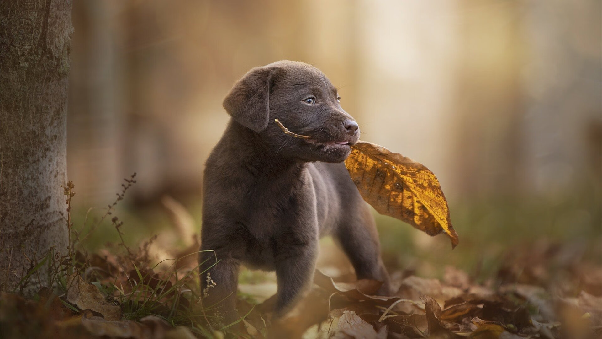 九游娱乐APP-青少年“创新闯关”篮球不一样的挑战赛在成都激烈进行，锻炼多元能力