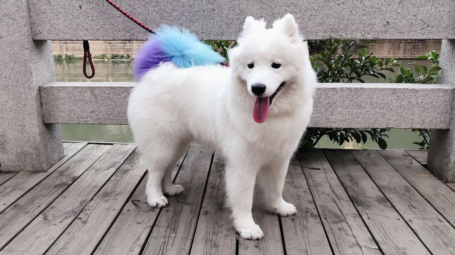 尤文图斯憾负拜仁,遗憾出局下一轮,尤文图斯对拜仁