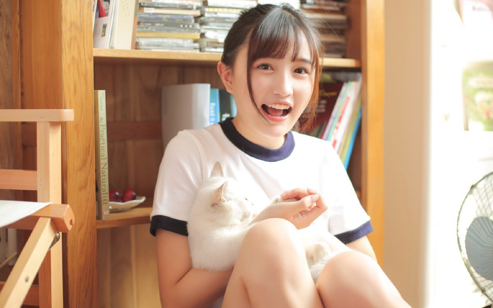 九游电脑版-布莱顿阵型变化灵活，海鸥军团保持高位竞争，布莱顿海滩