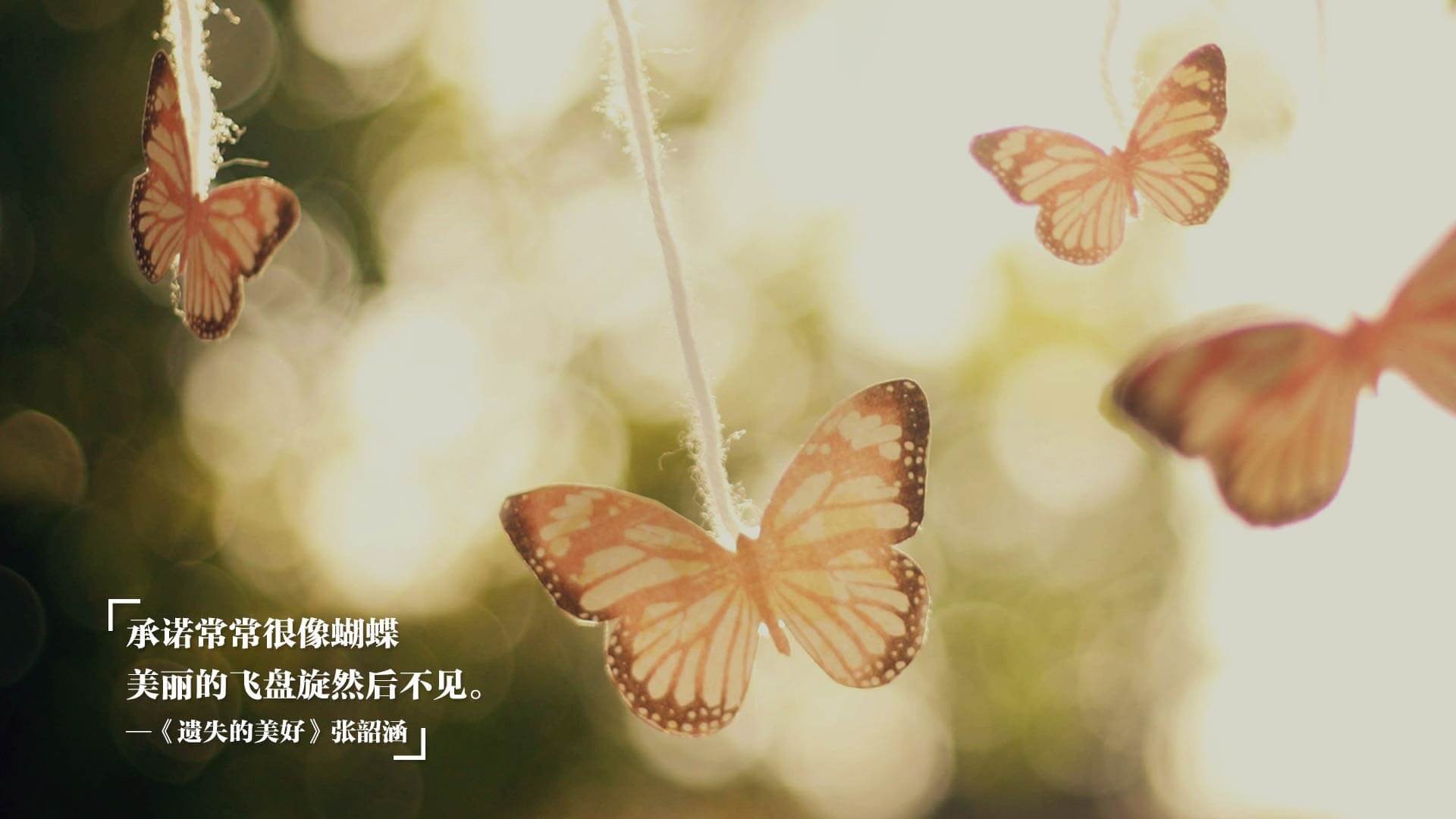 湖人队年轻球员训练态度积极,湖人队球员名单年龄