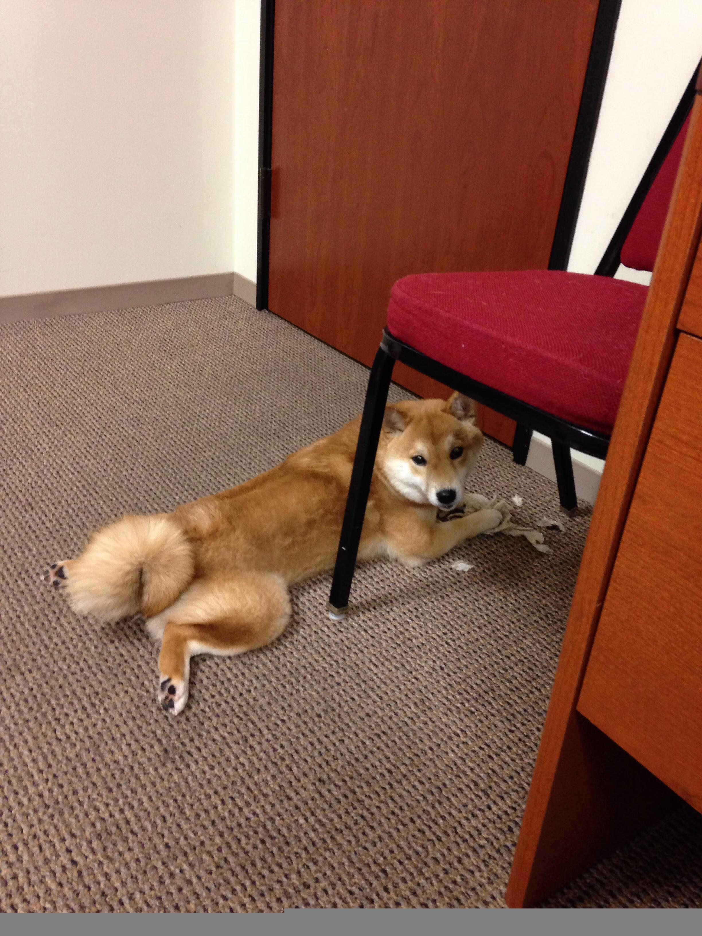 联盟交易窗口是否应延长,lol交易额度限制