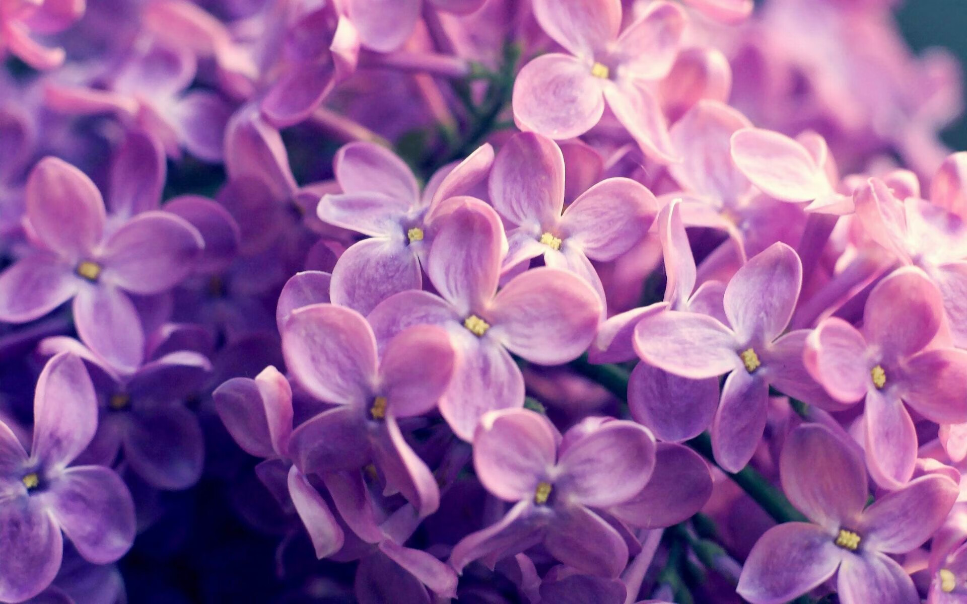 篮球运动员专项技能训练教学方法改革及效果评估,篮球个人技术训练计划