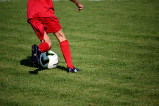 九游登录入口-篮球运动员心理健康维护服务体系研究，篮球心理技能训练计划