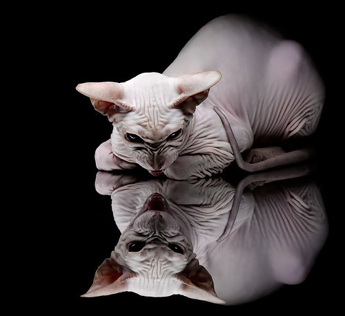 战队更换训练基地升级设备全面提升体验,战队训练赛怎么打