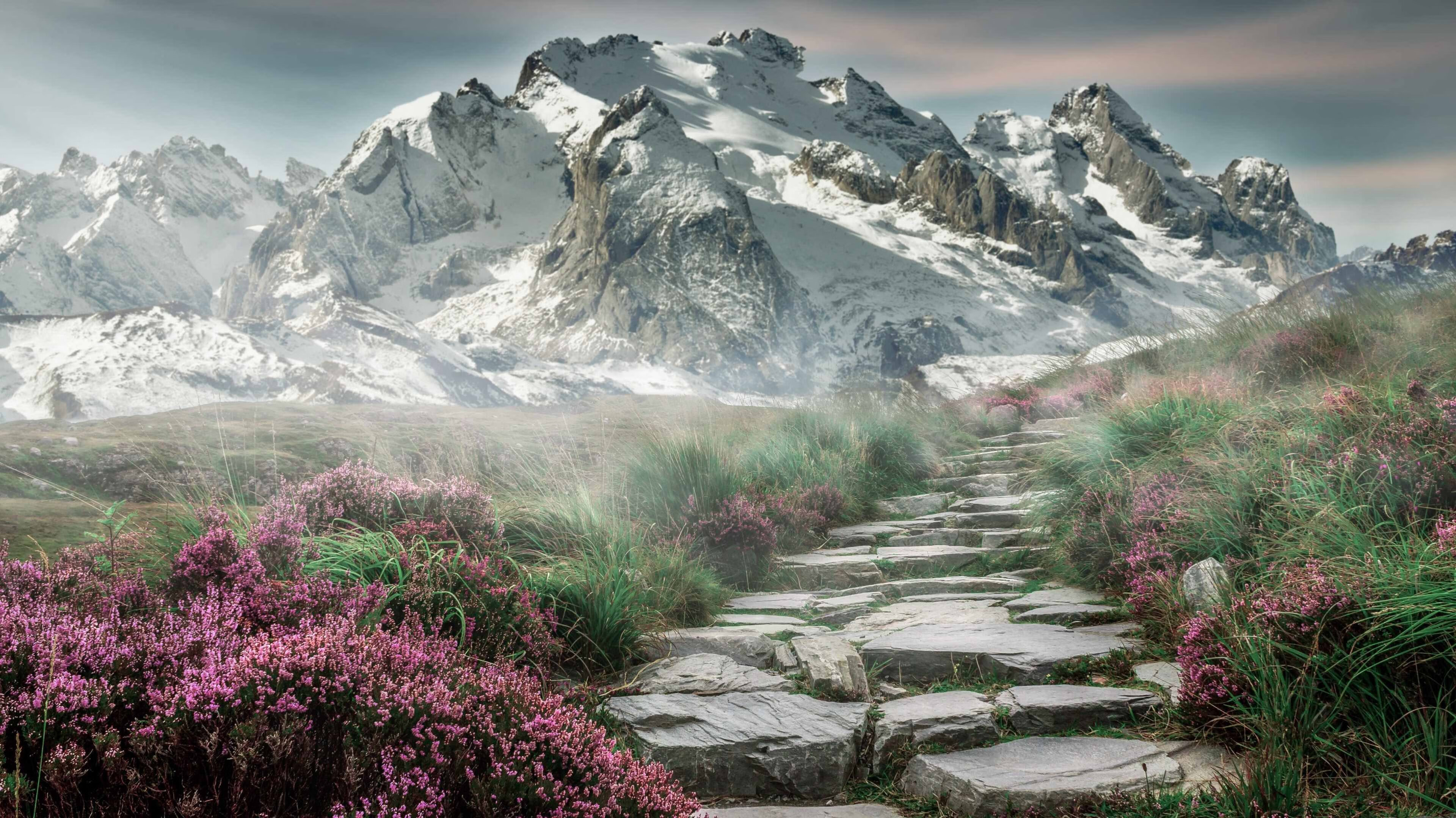 九游网游官网-波兰队赛制分析：如何通过赛制提高球员的应变能力，波兰队怎么样