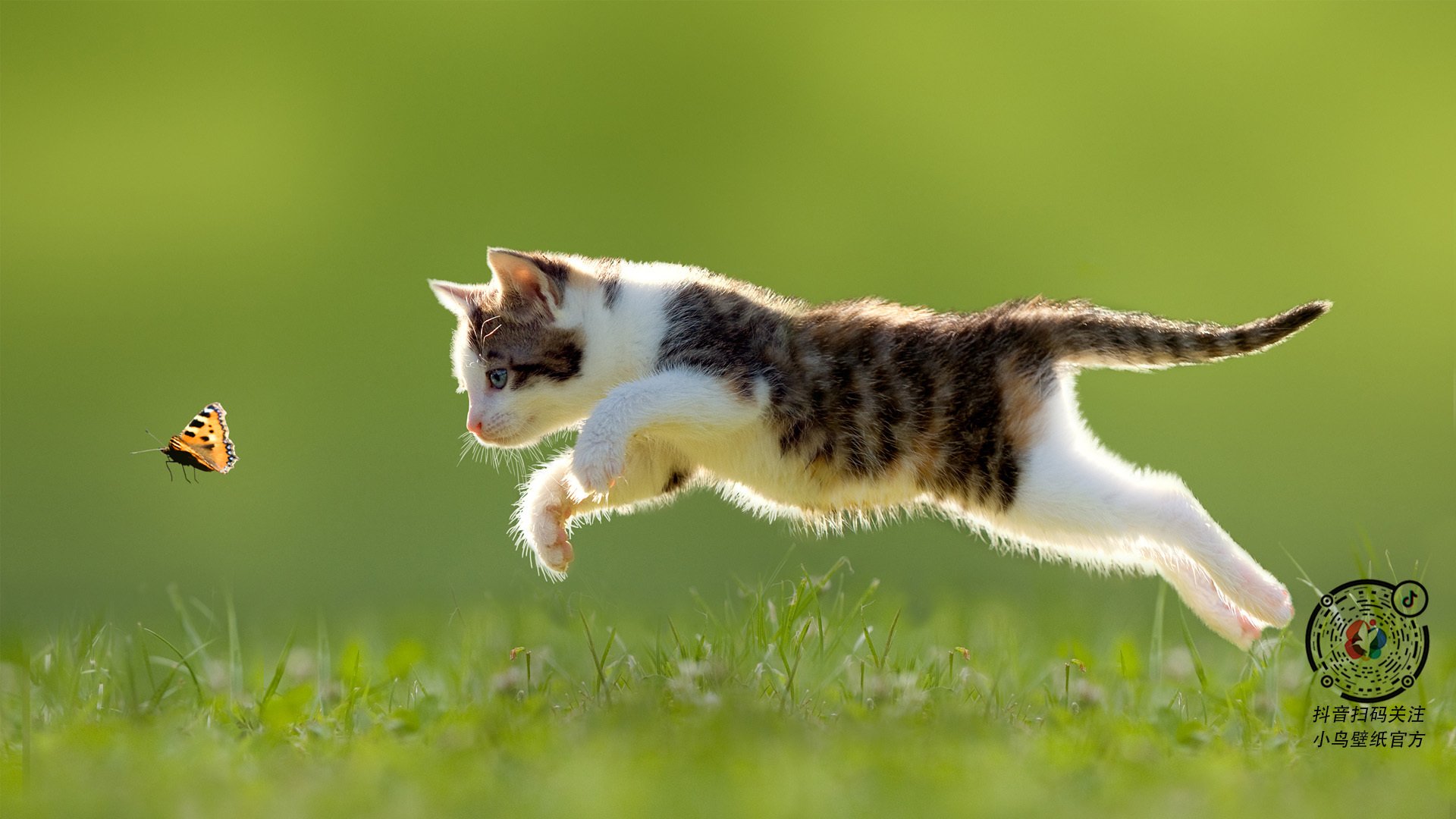 九游游戏中心官网-澳大利亚团队赛制分析：团体合作如何弥补个人弱点，澳大利亚队员