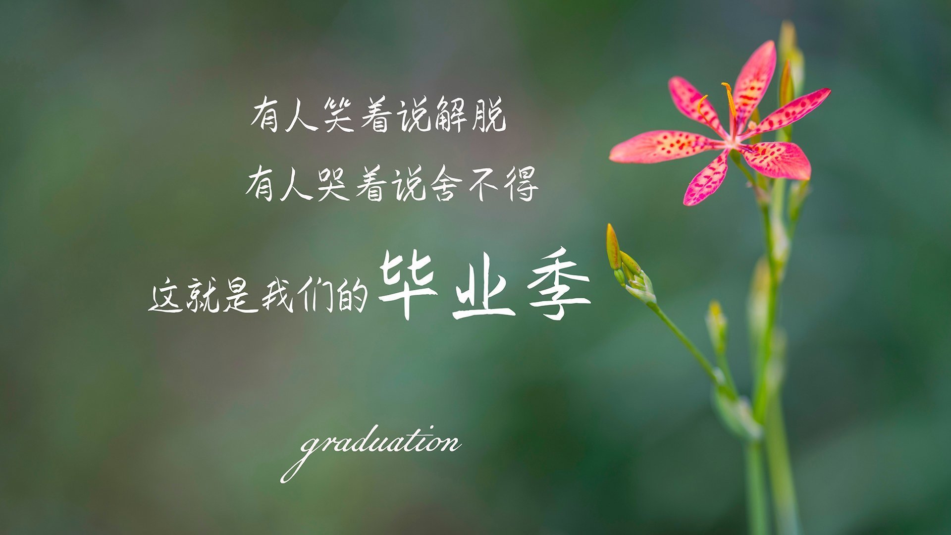 九游游戏中心官网-中国泳将协力拼搏勇夺铜牌，中国游泳队夺牌点