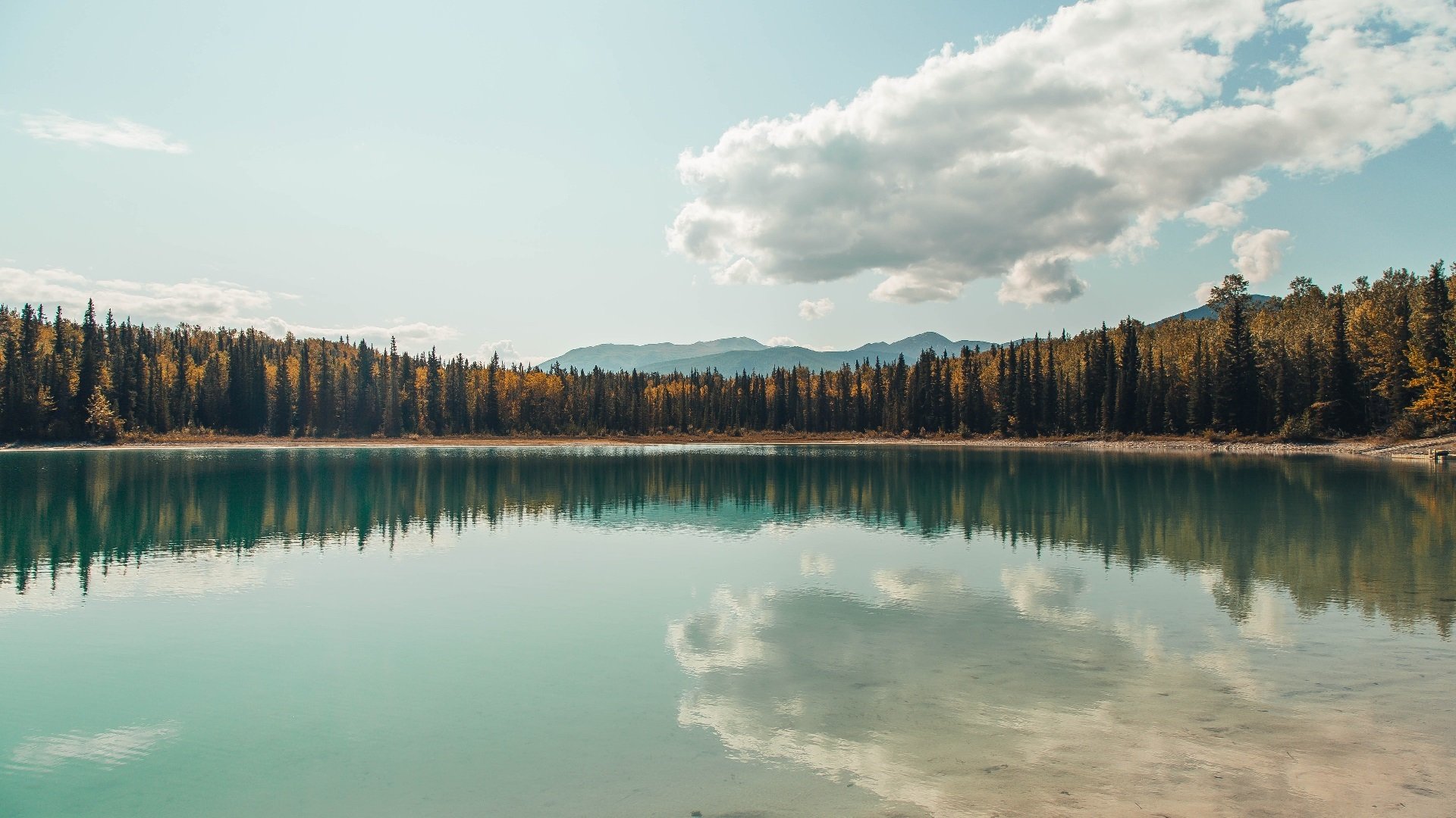 九游下载官网-法甲巅峰激战：球迷心中的经典回忆，法甲 经典比赛