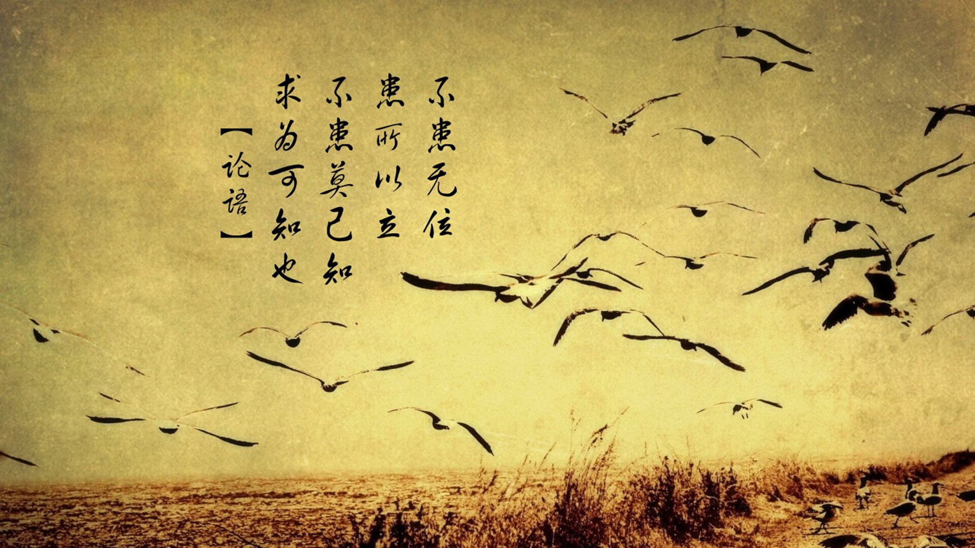 高水平防守对决中双方都未能破门比赛悬念持续至终场哨响